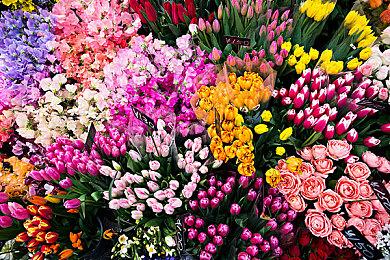 史上最烂NS移植游戏《方舟：生存进化》焕发新生